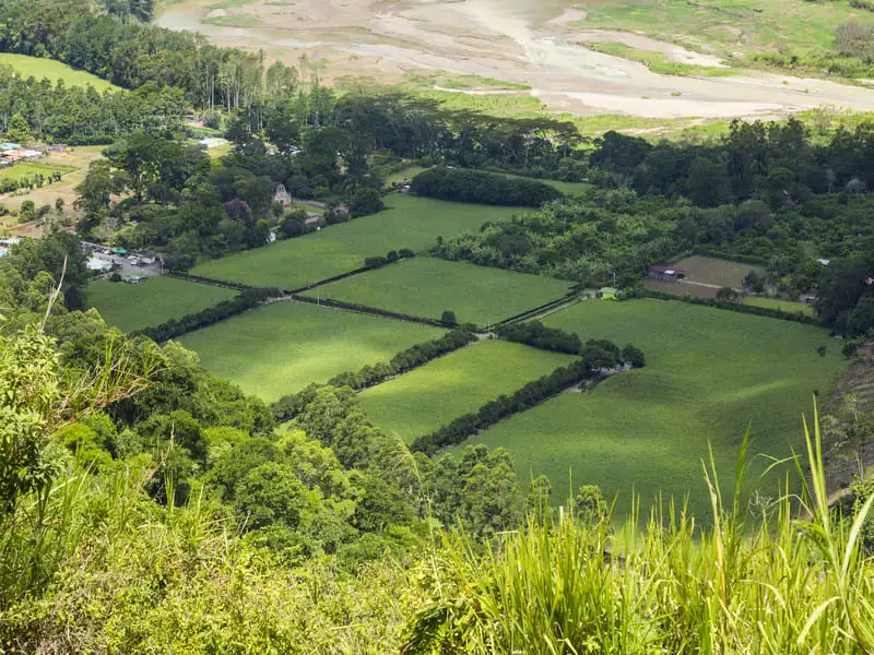 Assessoria jurídica para Regularização Ambiental de imóveis rurais - área de atuaçãojurídica ambiental.